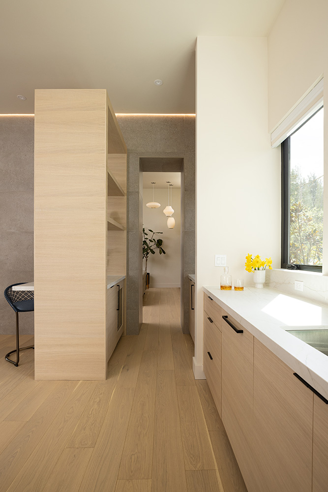 Portland Modern Oasis kitchen